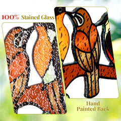 Huray Rayho close-up of painted bird feathers highlighting handcrafted detail benefit