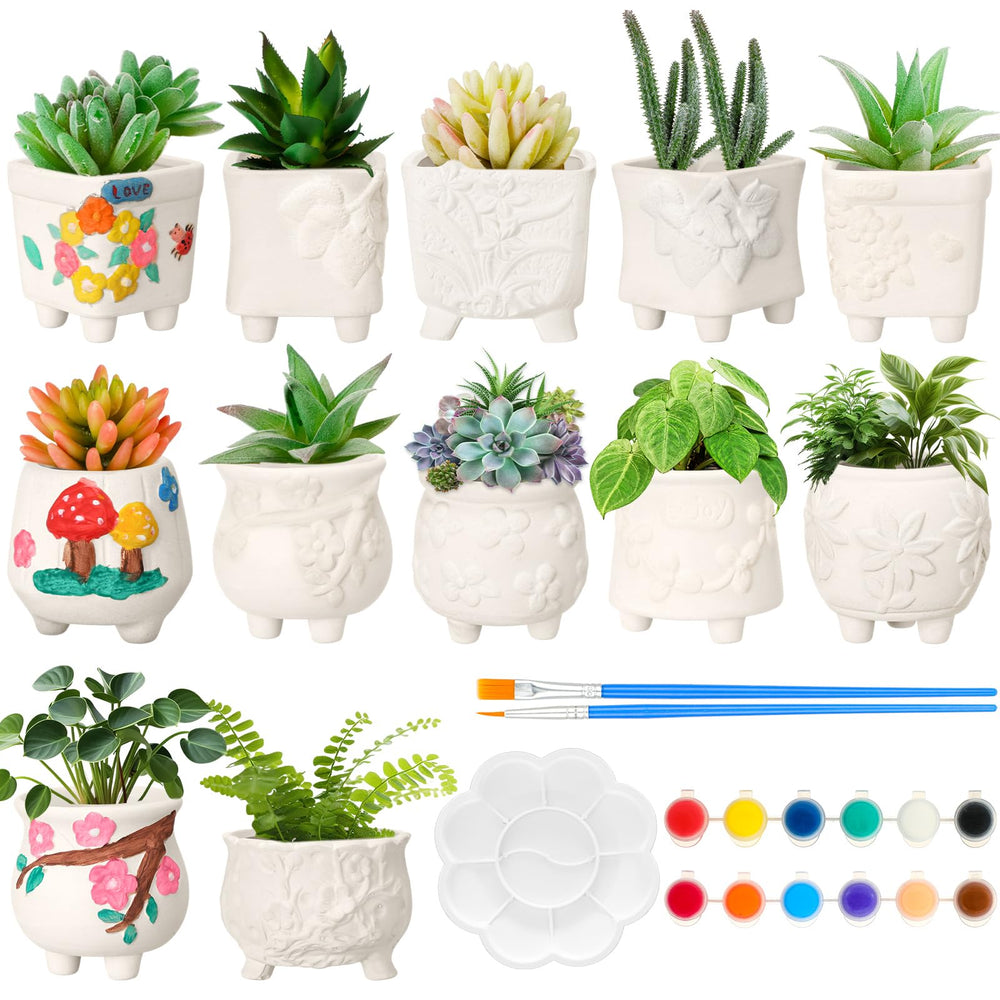 Hushee front packaging showing 12-pc paintable planter kit and contents