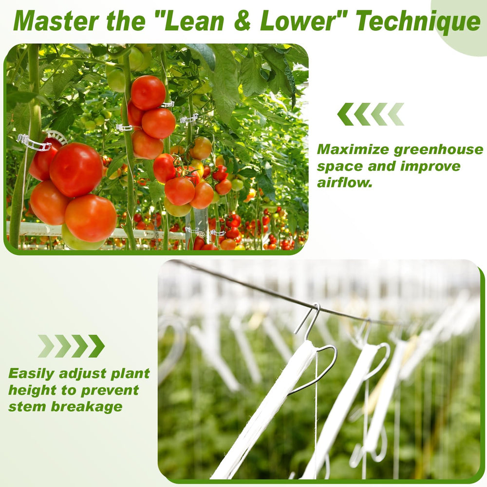 Hushee hooks attached to greenhouse trellis improving plant organization