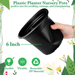 Hushee pot with seedling planted demonstrating fast propagation advantage