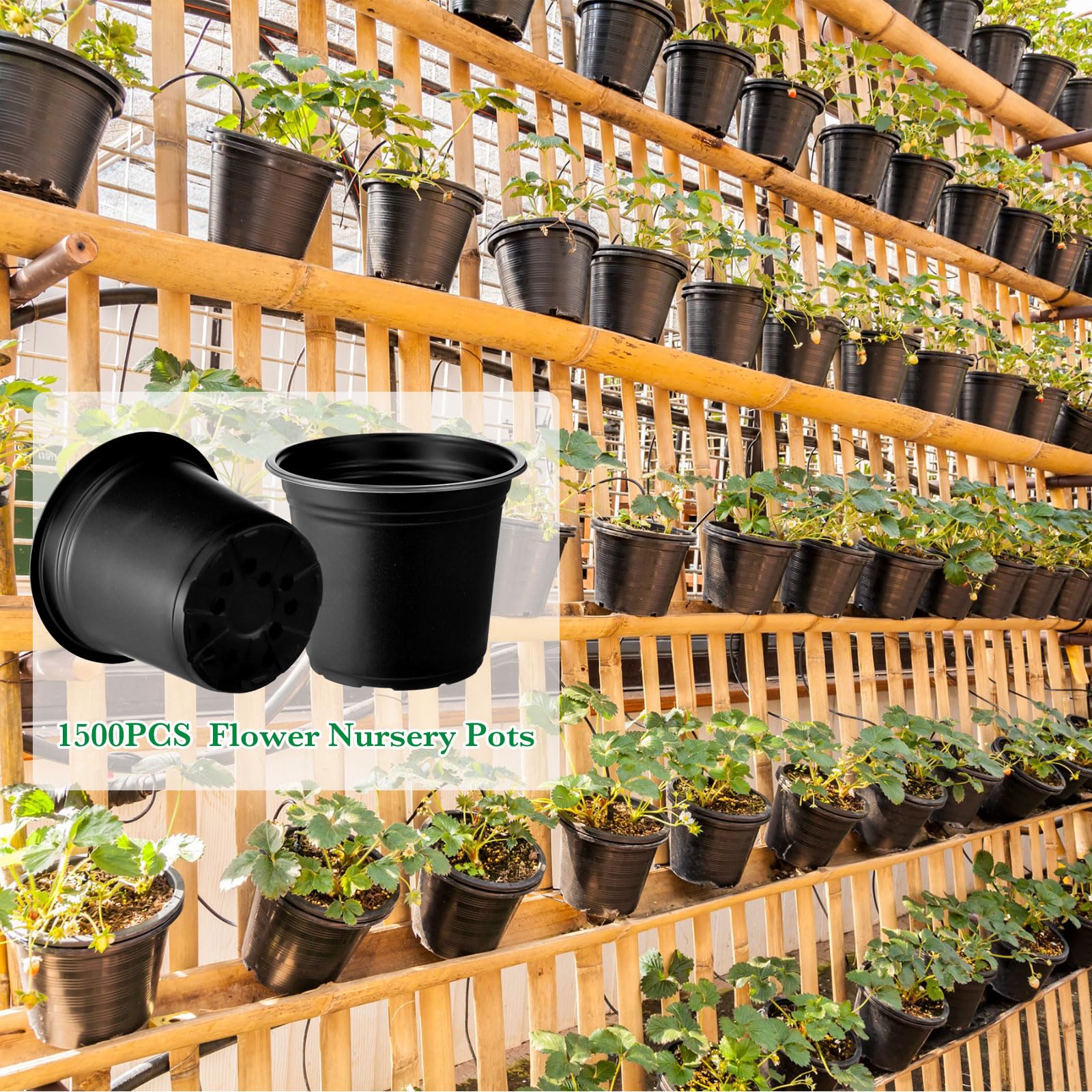 Hushee retail display of multiple pots highlighting bulk supply convenience
