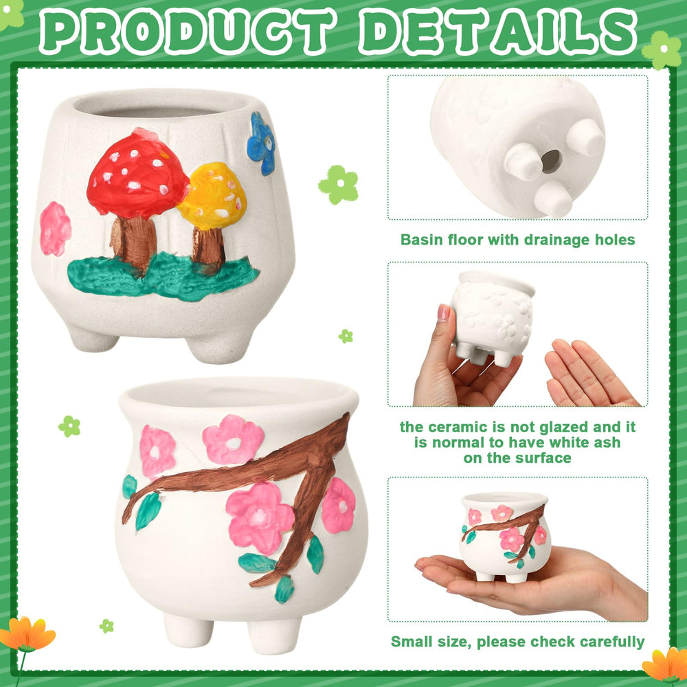 Hushee styled shelf with multiple decorated pots showcasing gifting appeal