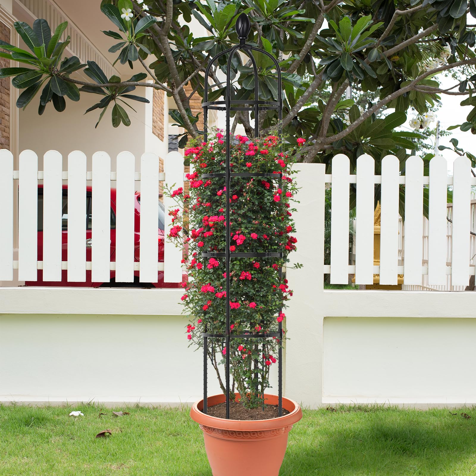 Huvai obelisk pair placed along garden path showing tidy vertical growth benefit