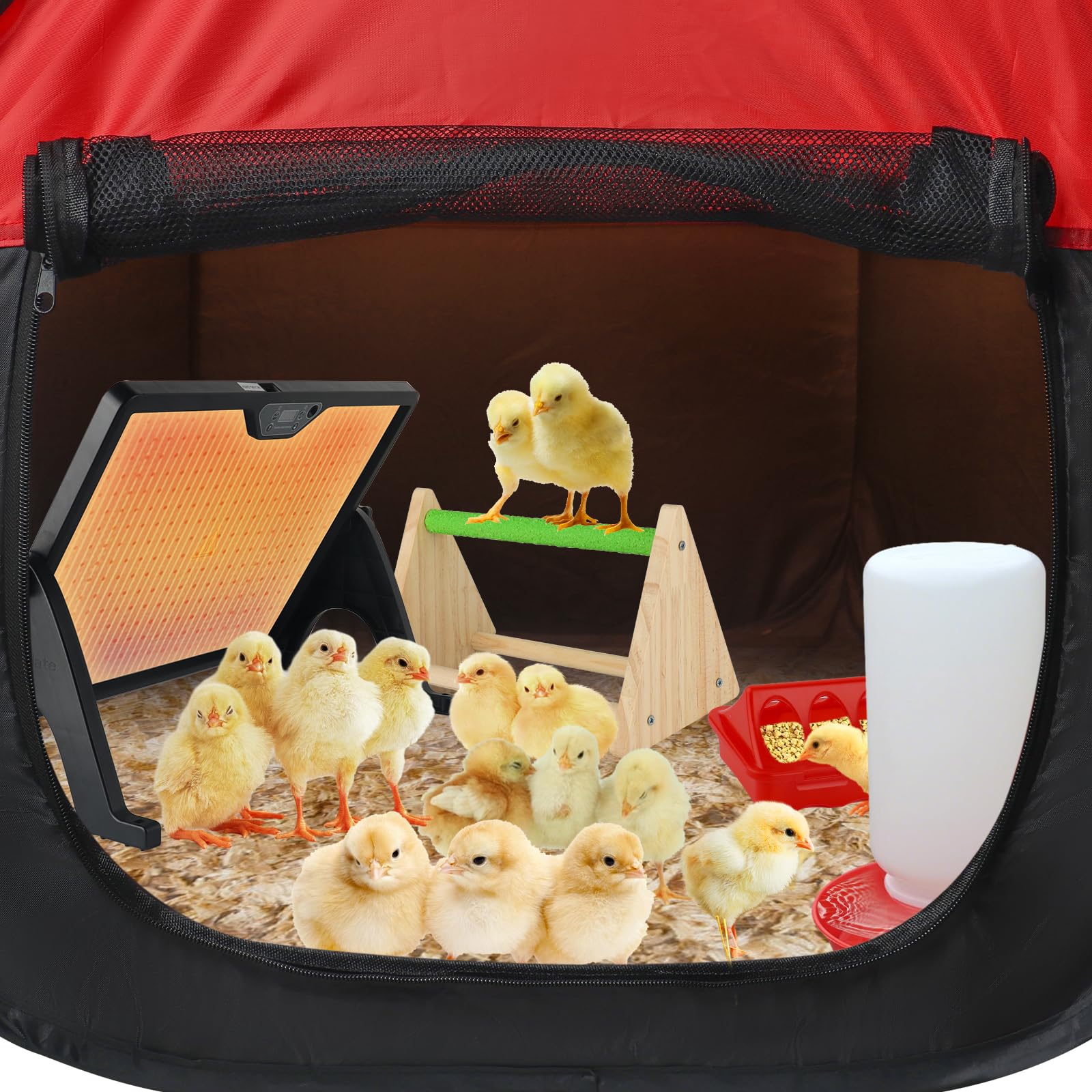Hydralis brooder placed in backyard showing outdoor stability and usability
