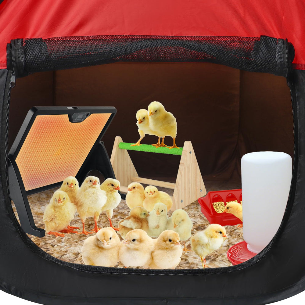 Hydralis brooder placed in backyard showing outdoor stability and usability
