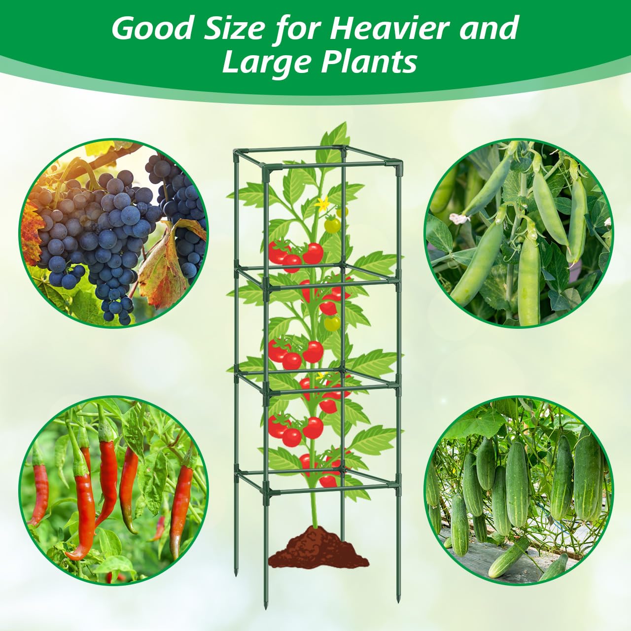 Hydream top-down view of square frame offering organized branch support
