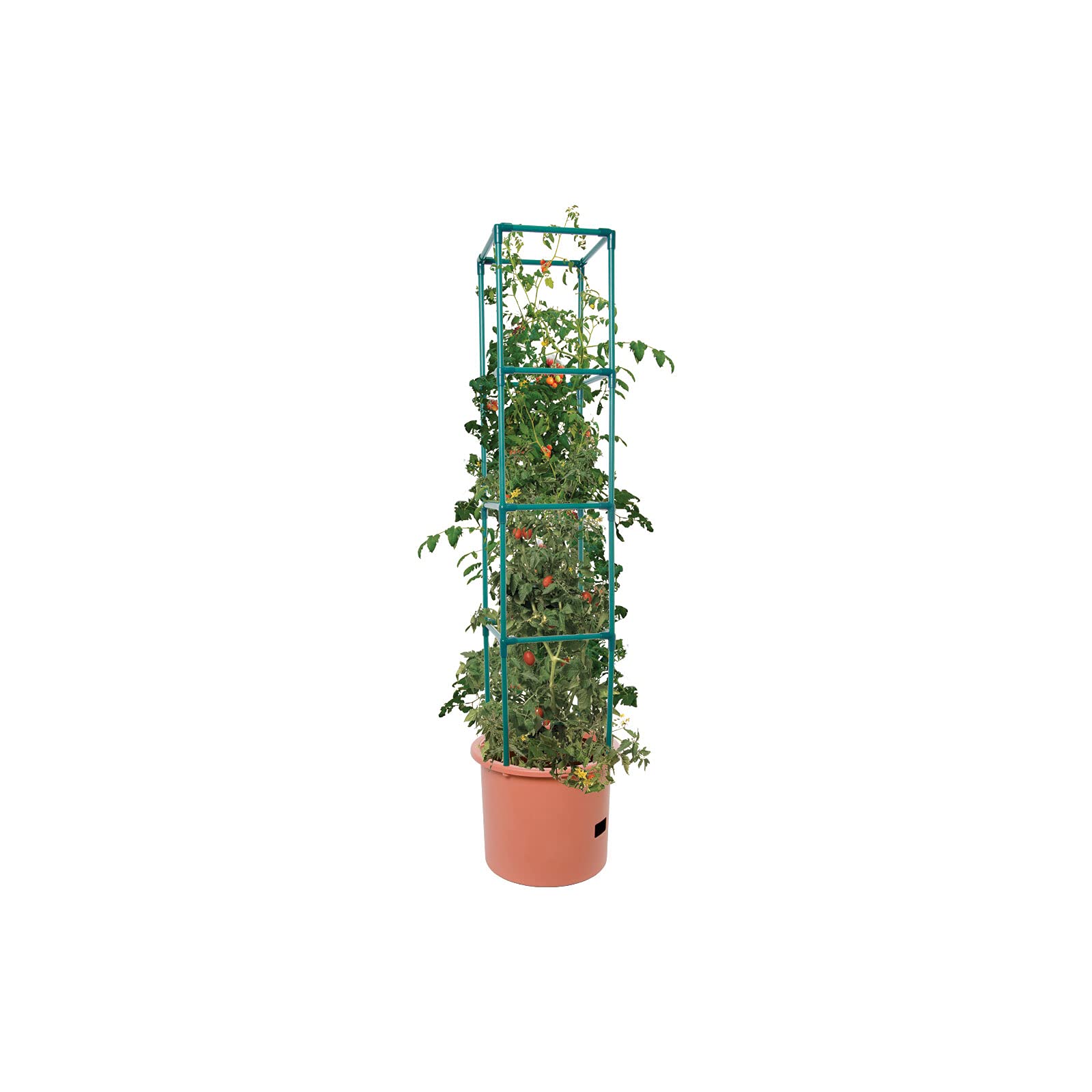 Hydrofarm GCTB2 trellis close-up illustrating strong frame and easy assembly benefit