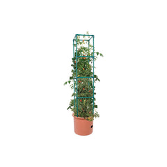 Hydrofarm GCTB2 trellis close-up illustrating strong frame and easy assembly benefit