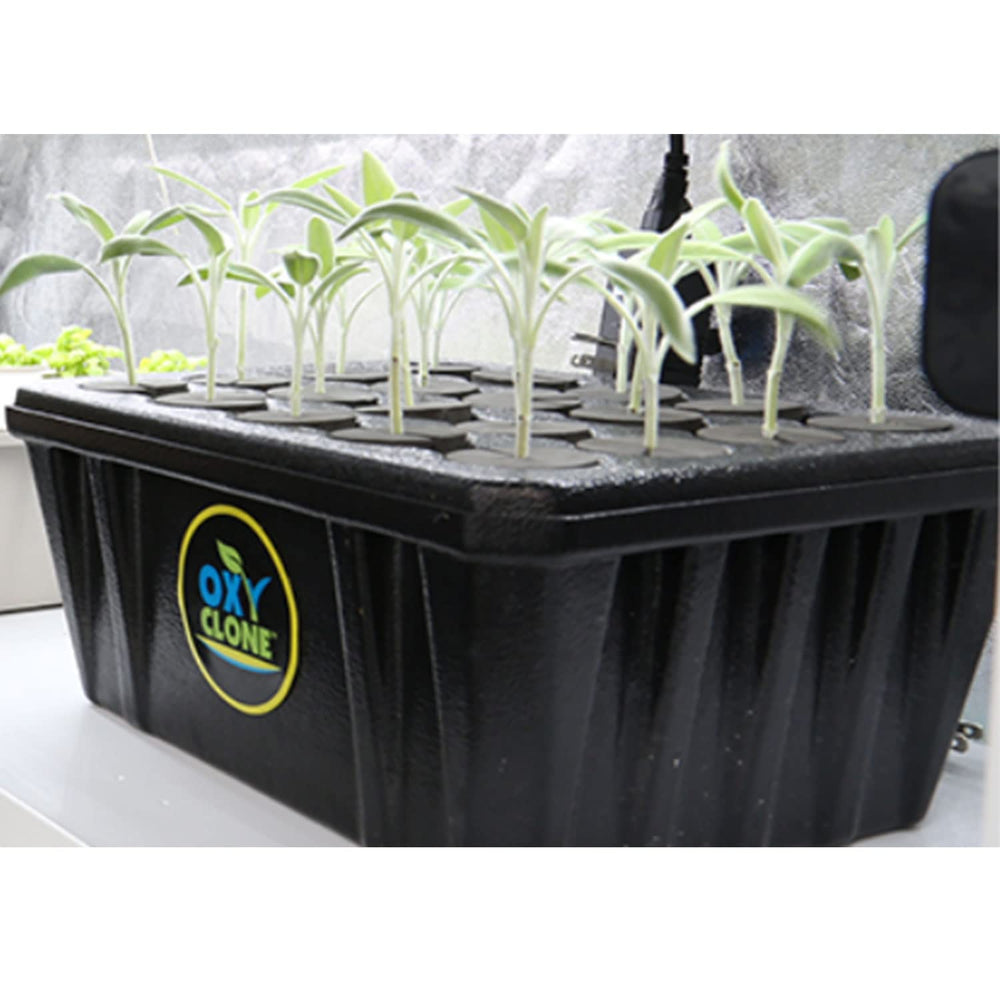 Hydrofarm Oxyclone in use with plant cuttings rooting, faster propagation benefit