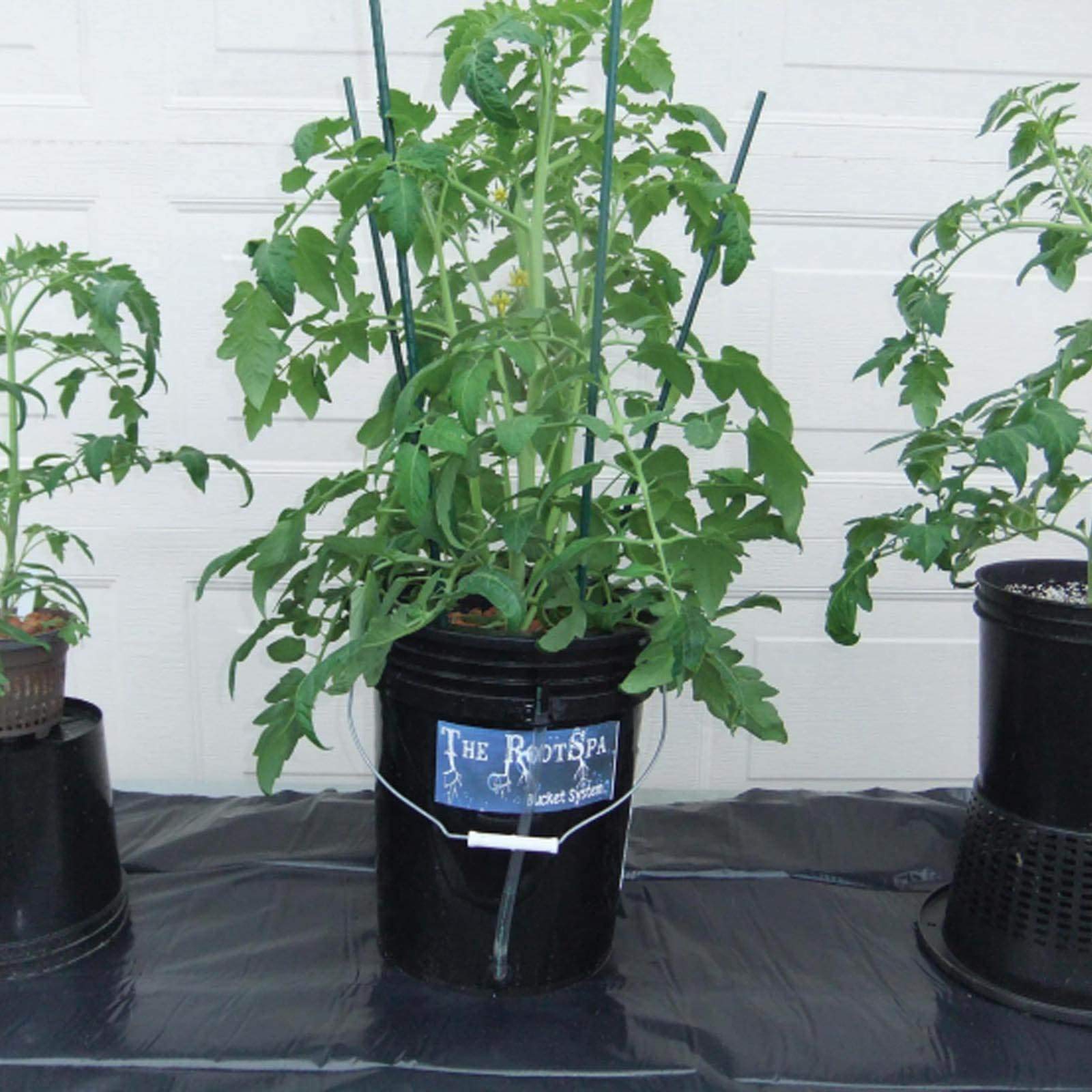 Hydrofarm Root Spa in a small grow setup with plant, illustrates space-saving performance