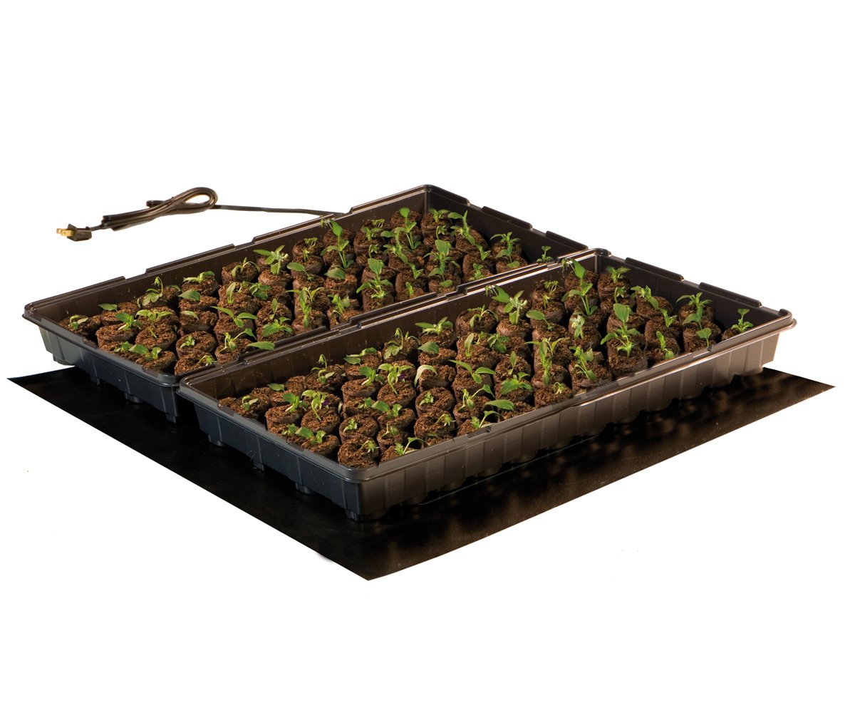 Hydrofarm seed trays placed on mat showing improved germination from bottom heat