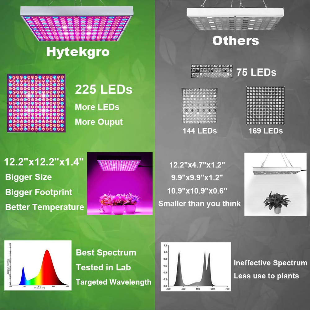 Hytekgro hanging above seedlings providing even coverage and stronger stems