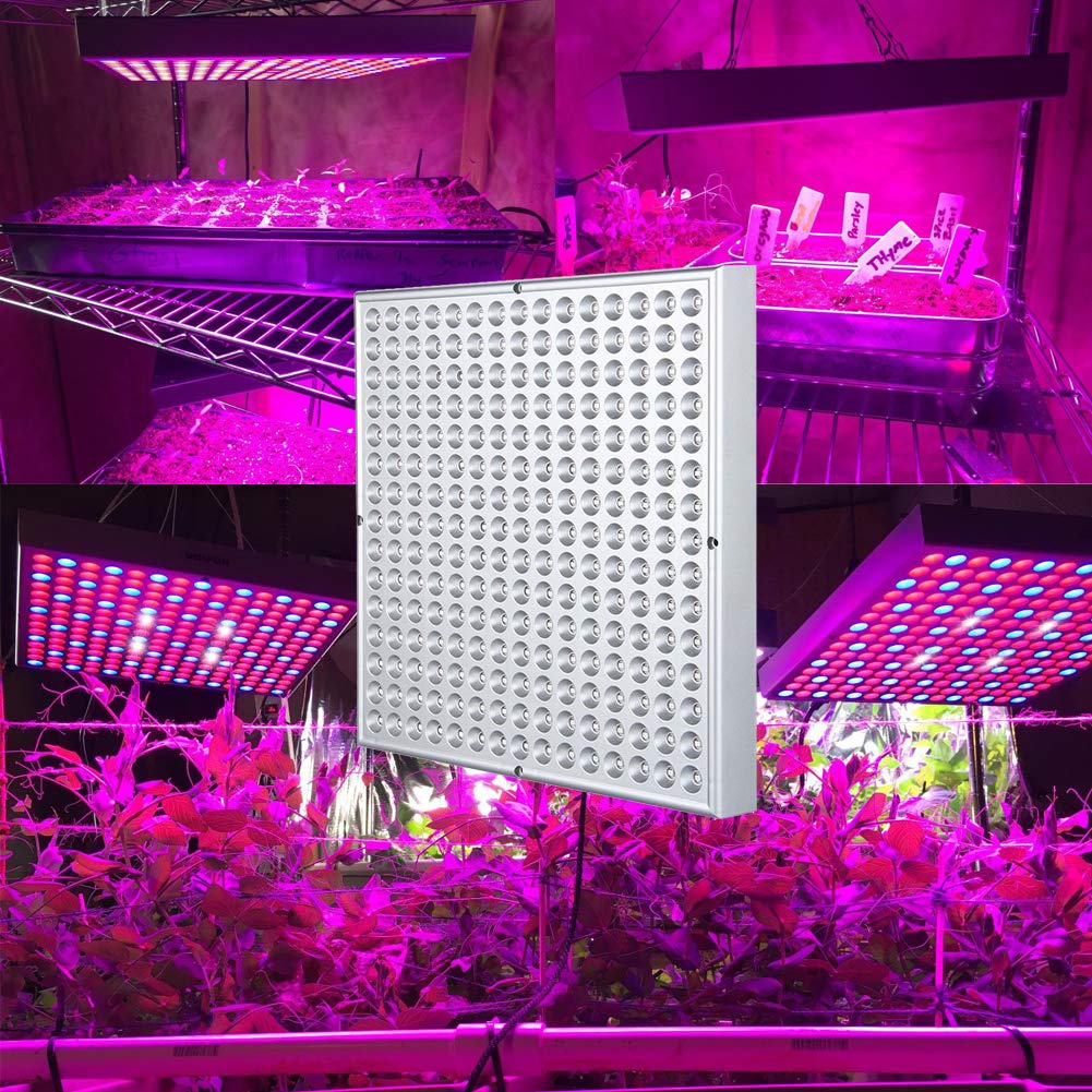 Hytekgro product label and specs giving clear setup and warranty details