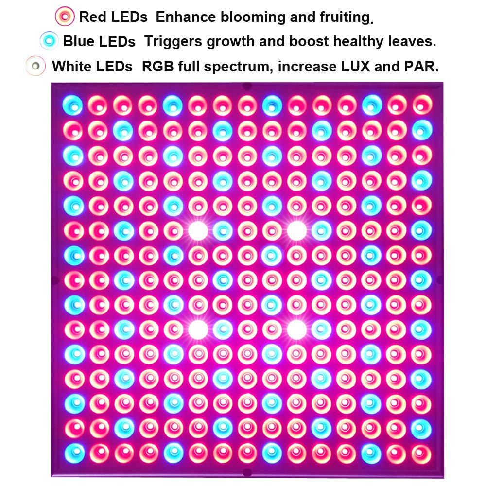 Hytekgro close-up of LED array highlighting diodes for efficient light output