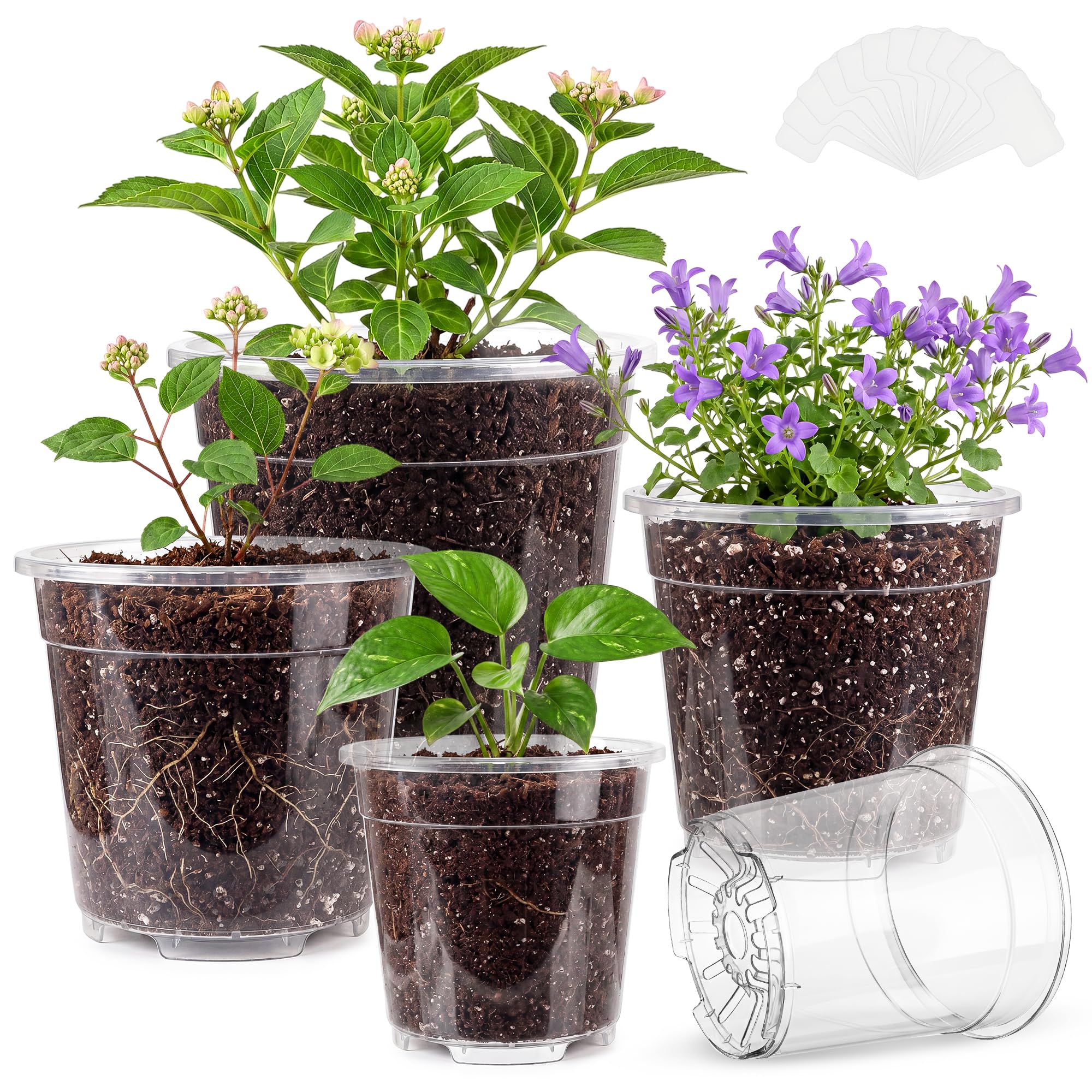 HYX-Yang front view of clear 12-pack nursery pots showing sizes and packaging, practical for gardeners