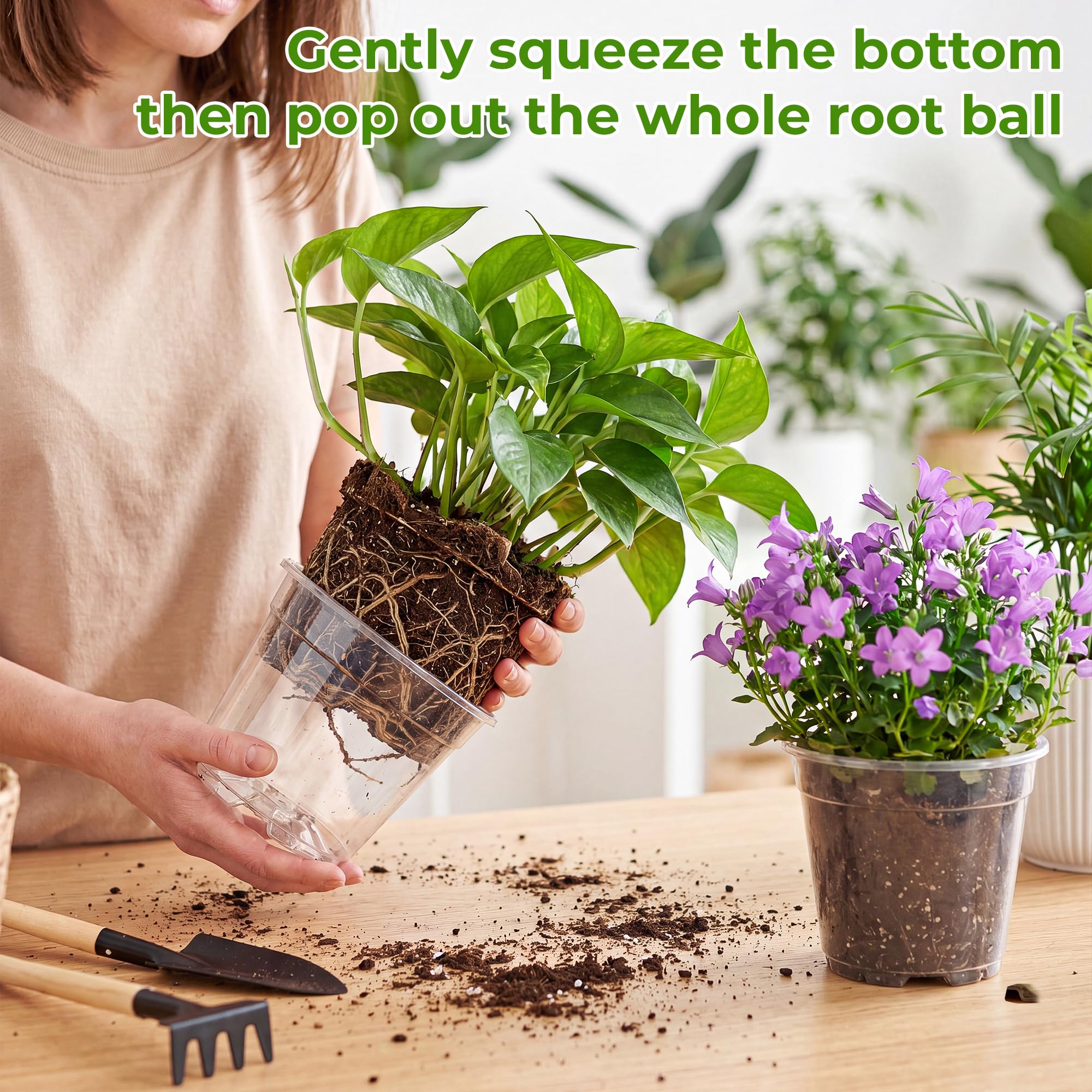 HYX-Yang pots holding herb seedlings on a windowsill to illustrate indoor growing convenience