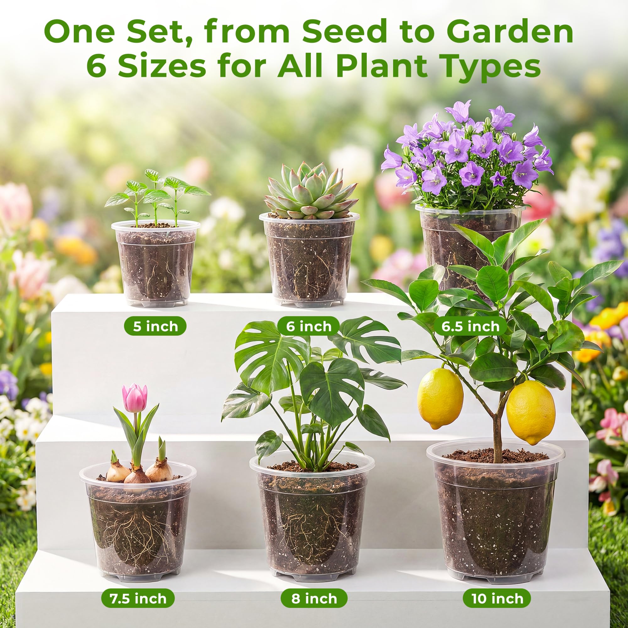 HYX-Yang pot held in hand for scale, helping buyers visualize size range and handling ease