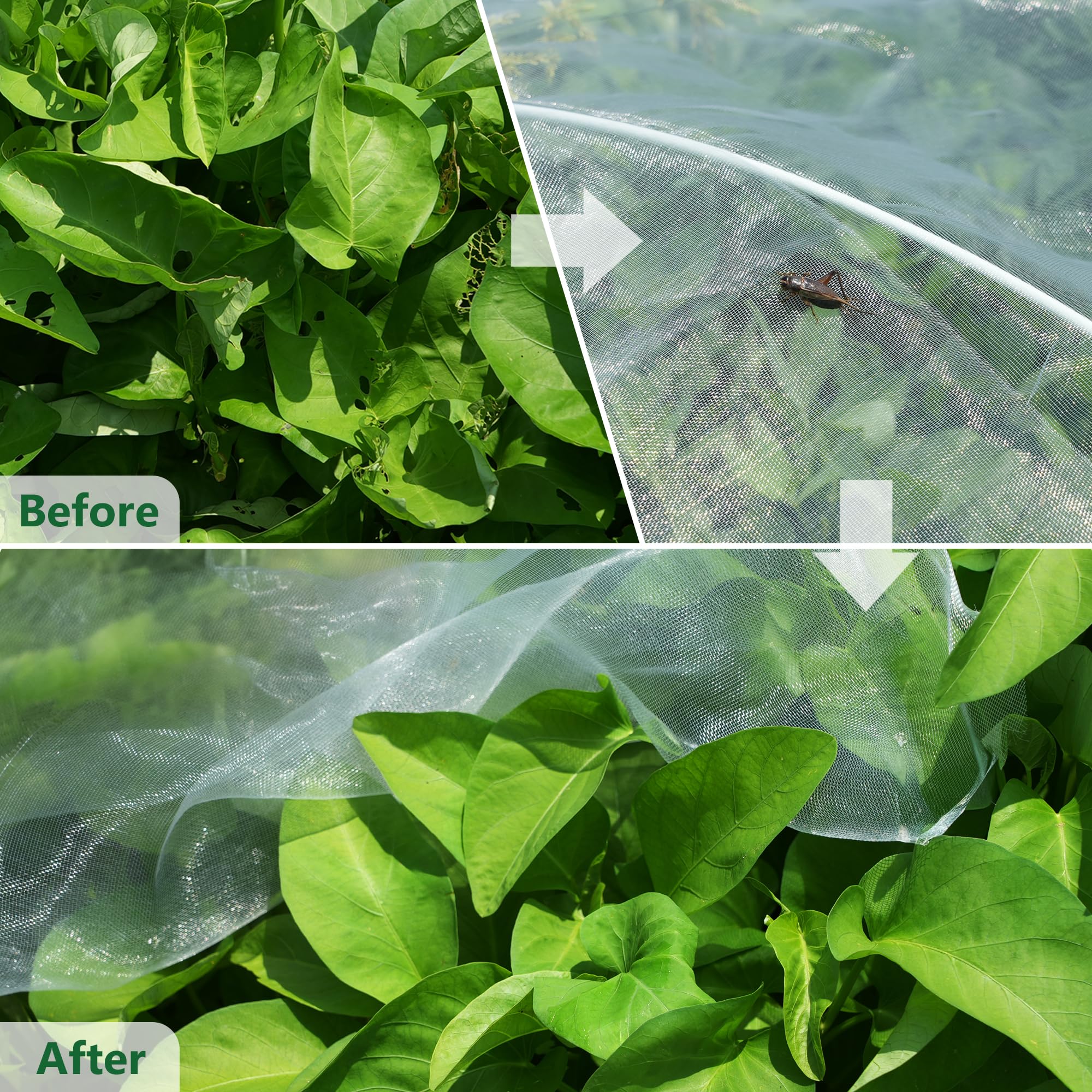 Hyxanons being trimmed cleanly for DIY custom garden applications