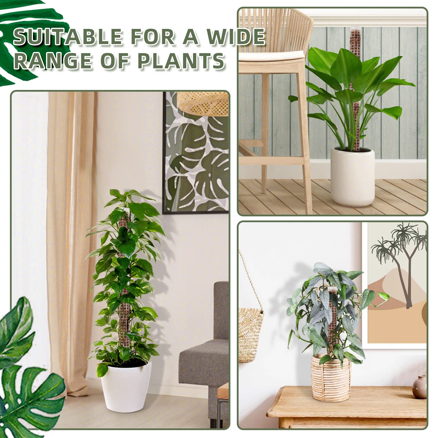 HYYZ pole next to a standard pot showing scale and compact size for smaller plants and beginner setups