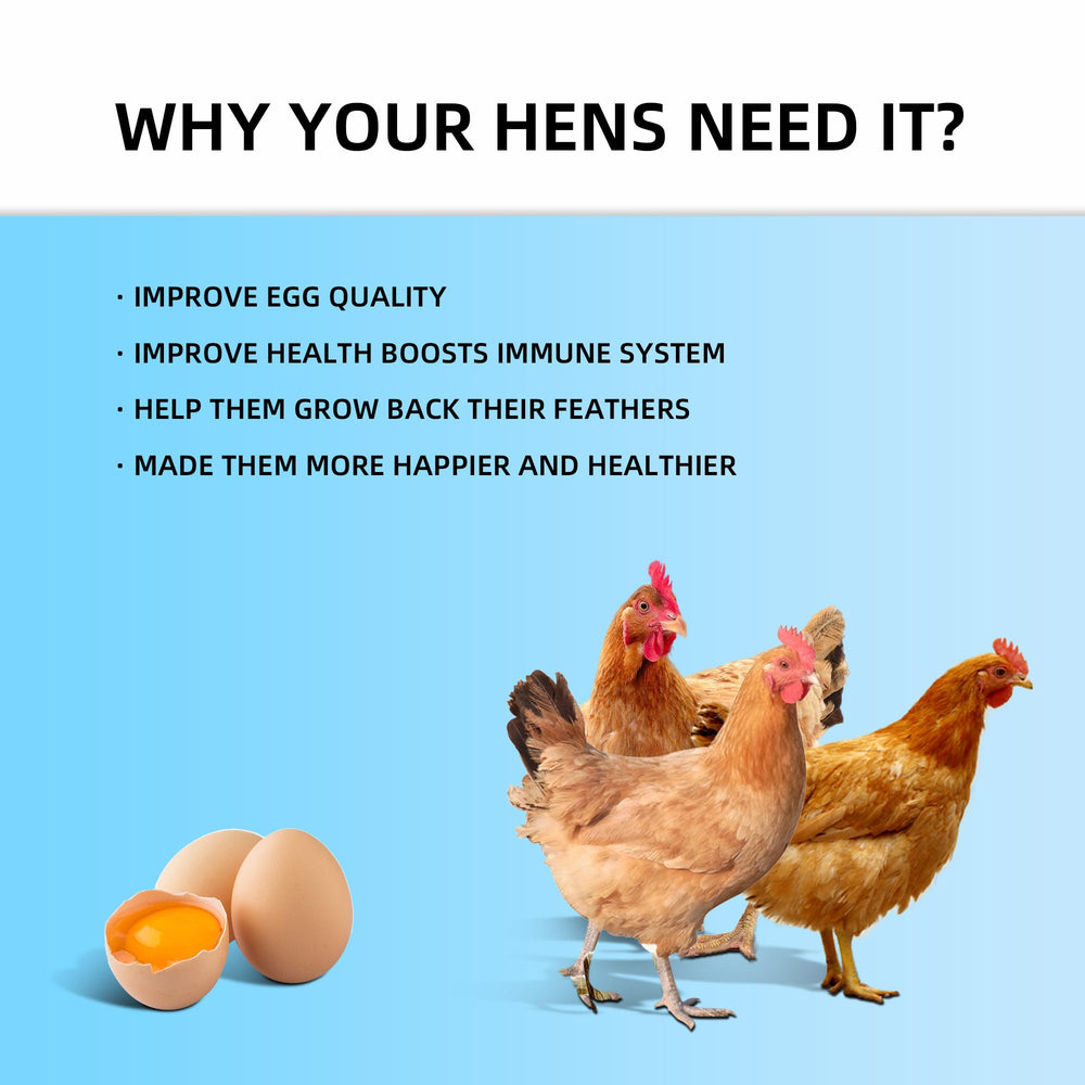 I LOVE WORMS chickens eating treats demonstrating improved foraging and calcium benefit