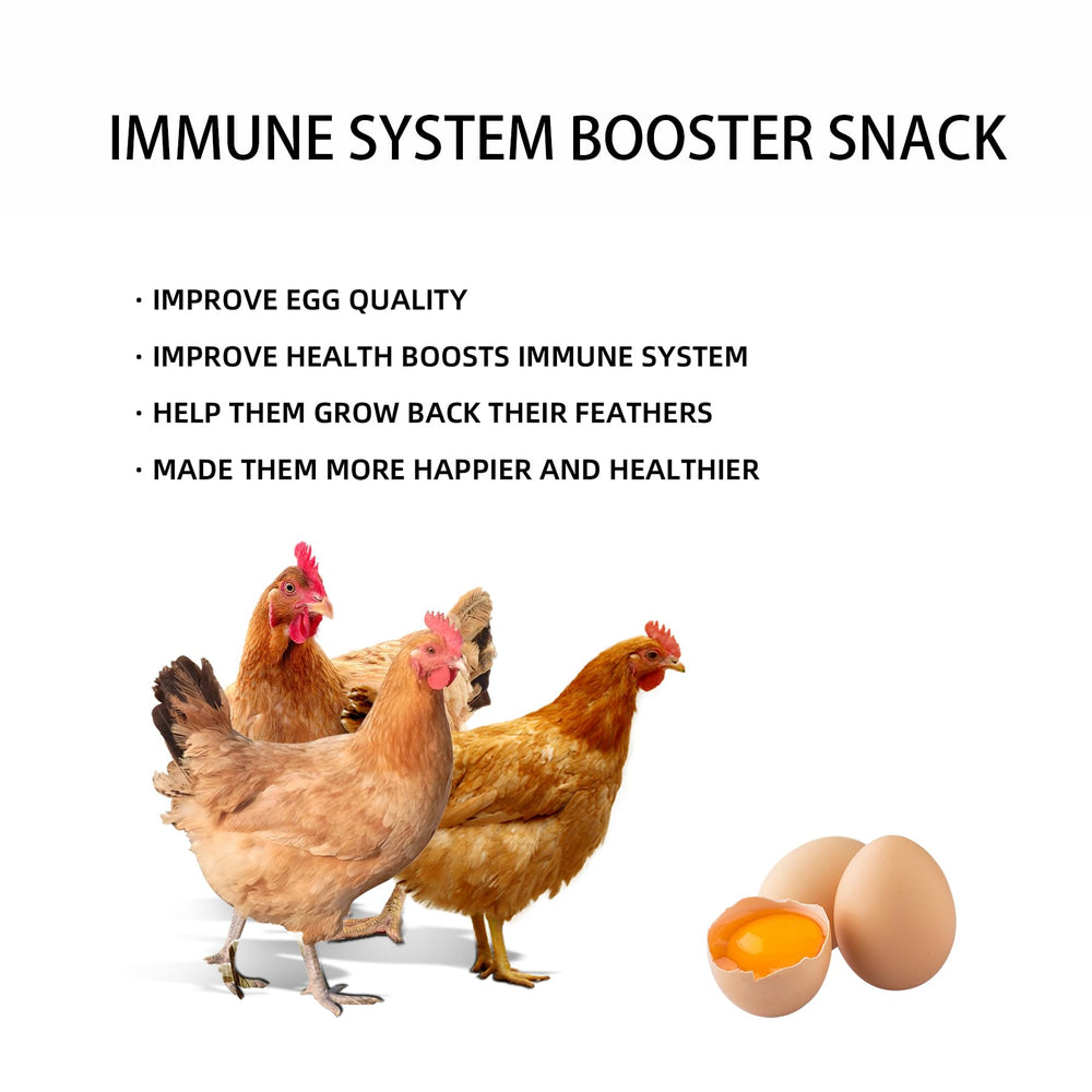 I LOVE WORMS offered to a bearded dragon illustrating reptile-safe supplemental protein