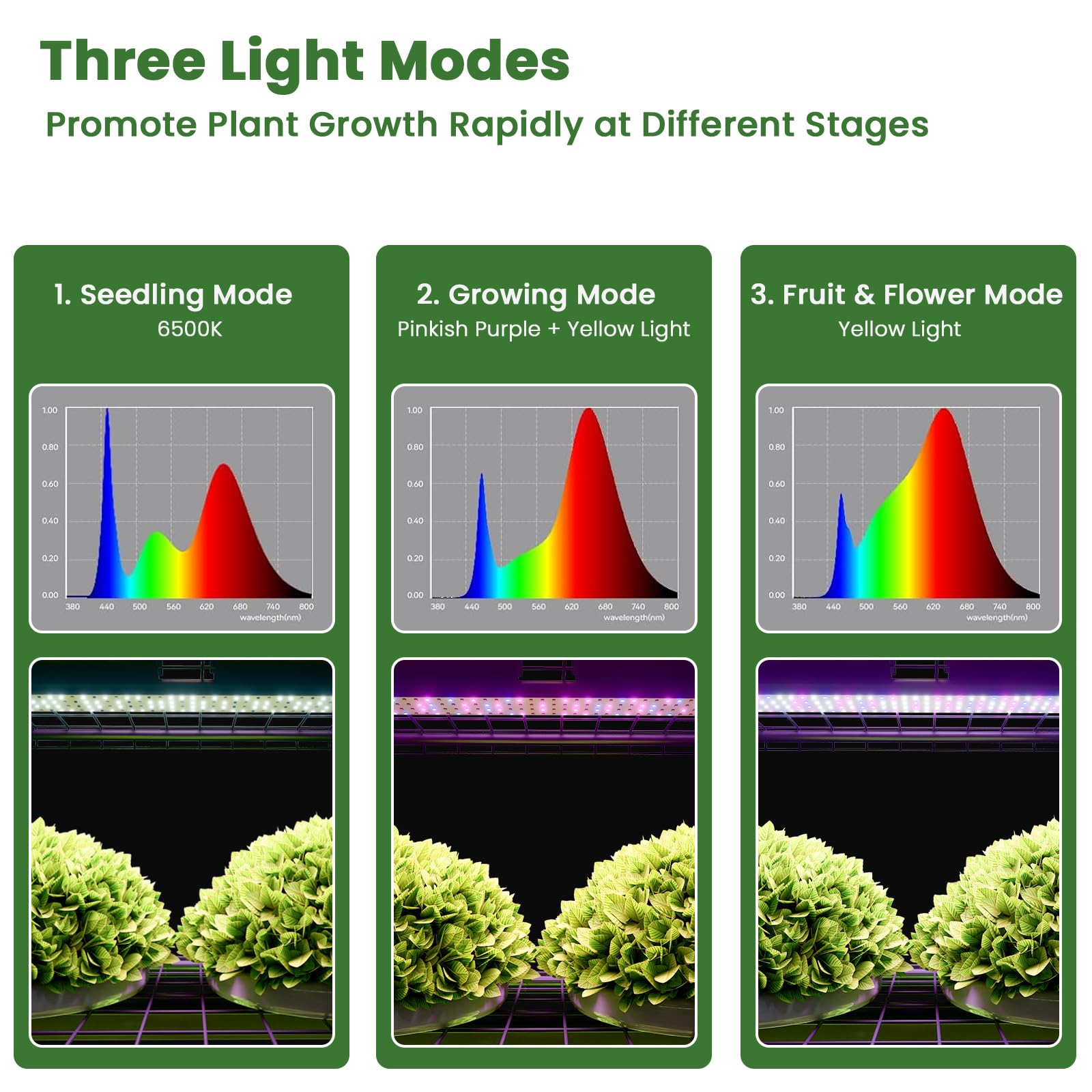 i-SUNSHORE dimmable 60W LED grow light mounted providing full-spectrum coverage