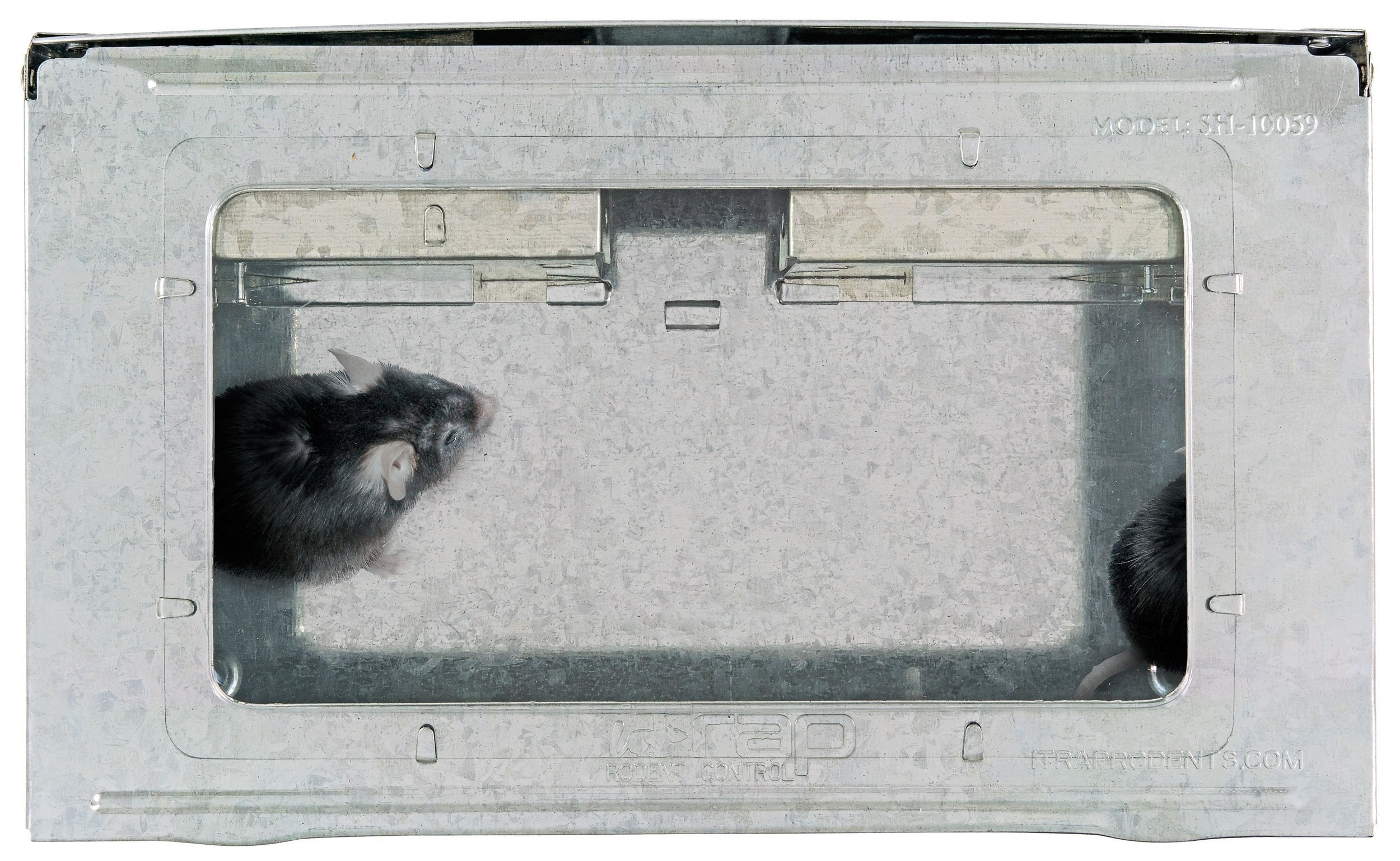 iTrap placed along a wall in use to intercept common rodent pathways