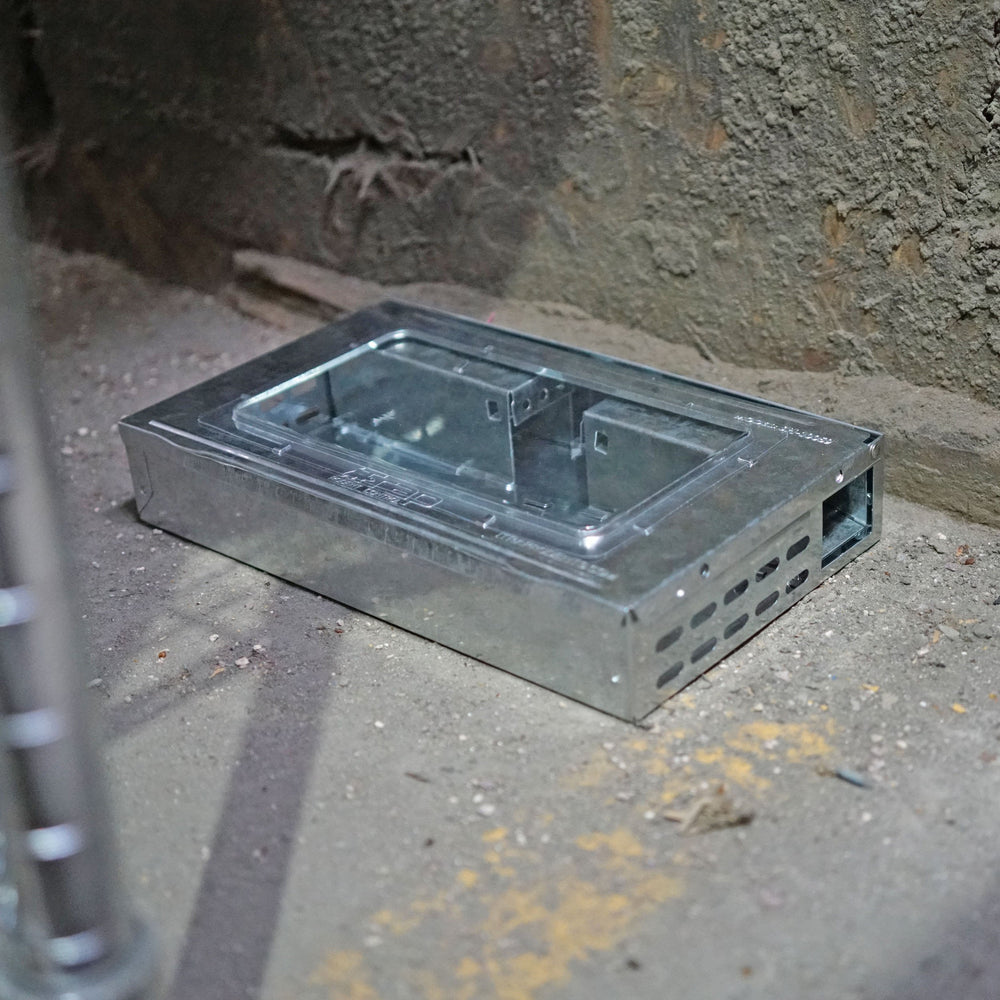 iTrap positioned in kitchen under counter showing discreet home use