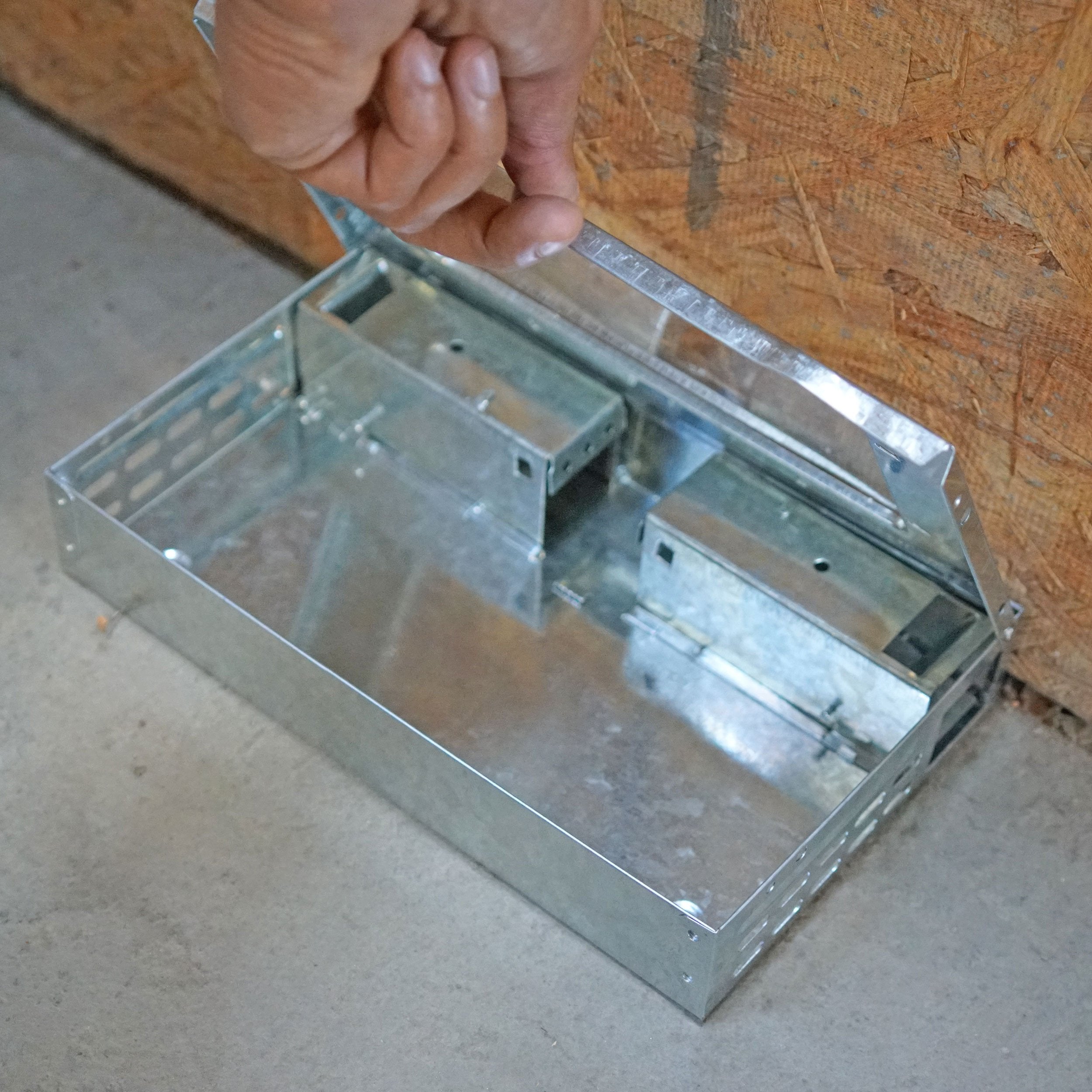 iTrap release door open illustrating easy humane release of captured mice
