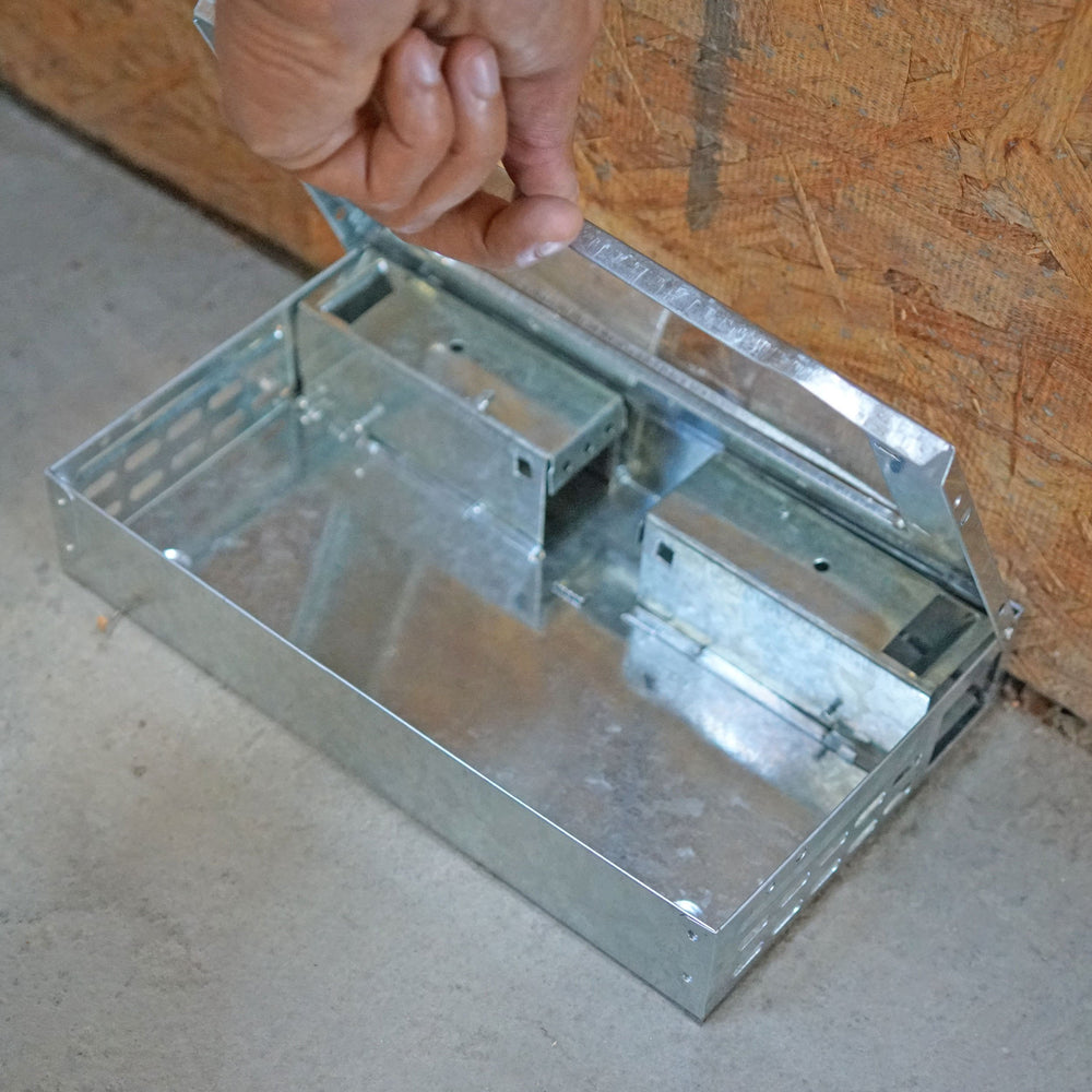 iTrap release door open illustrating easy humane release of captured mice