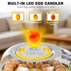 IBKINXX egg tray and automatic turning mechanism improving embryo movement
