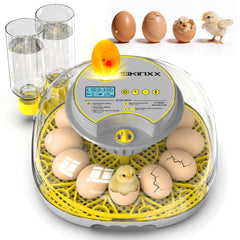 IBKINXX front view showing compact incubator and egg layout benefit easy monitoring