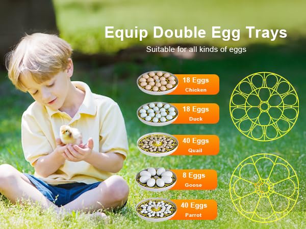 IBKINXX lifestyle backyard hatching scene showing user-friendly setup