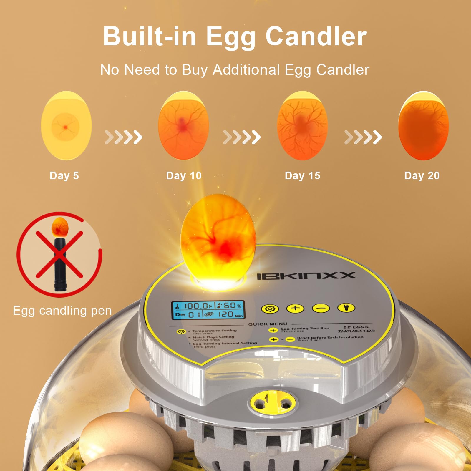IBKINXX clear 360° dome showing eggs inside benefit uninterrupted viewing