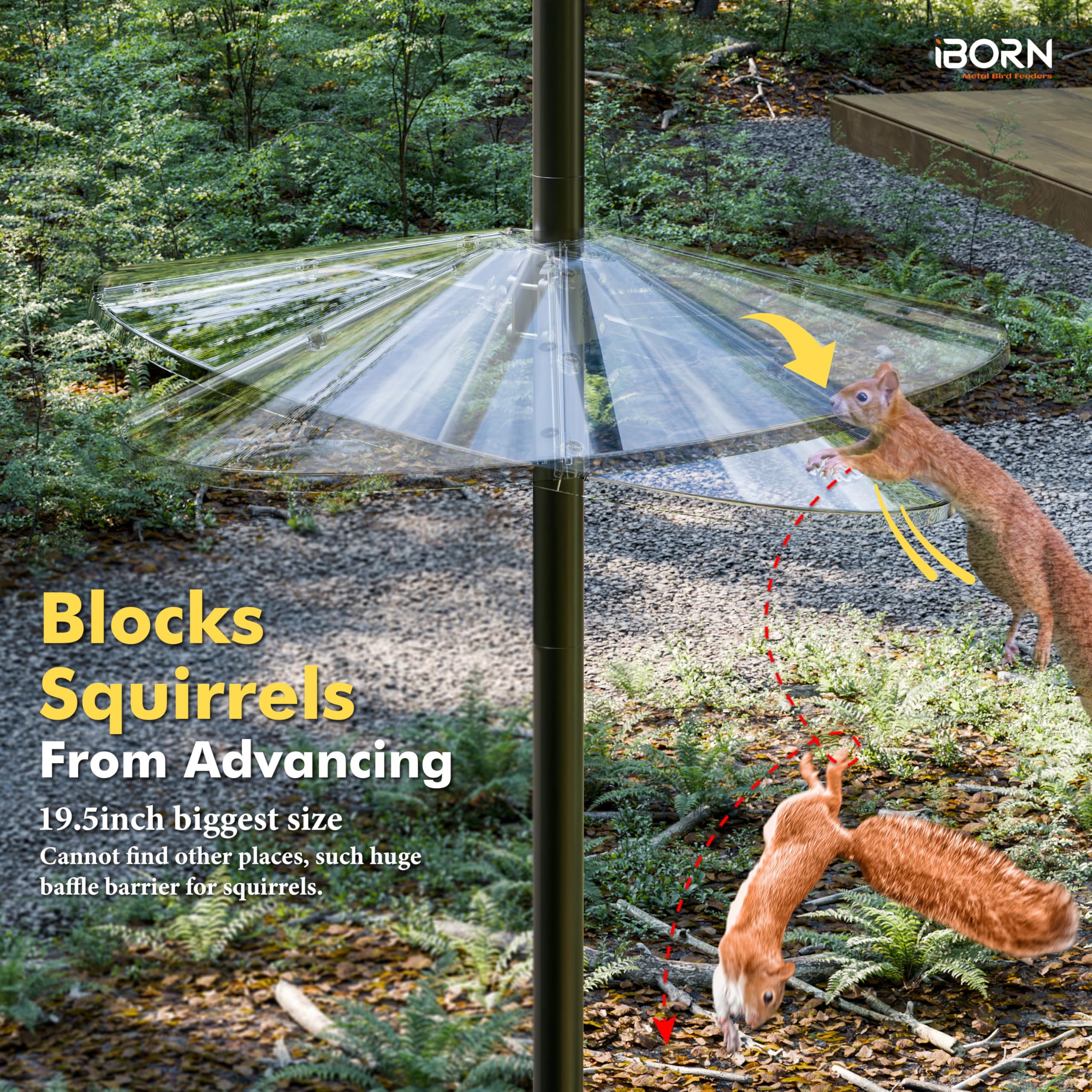 iBorn baffle installed with bird feeder showing deterrent benefit in use