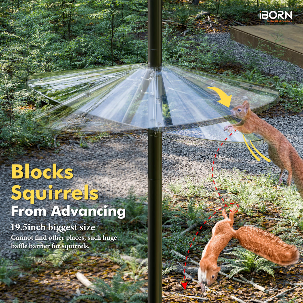 iBorn baffle installed with bird feeder showing deterrent benefit in use