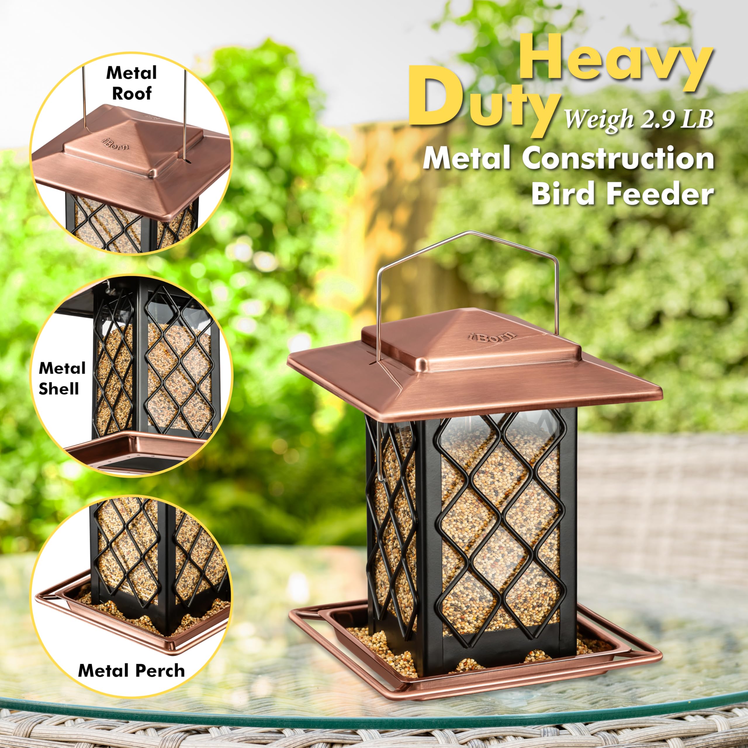 iBorn neatly disassembled feeder parts for easy deep cleaning and maintenance