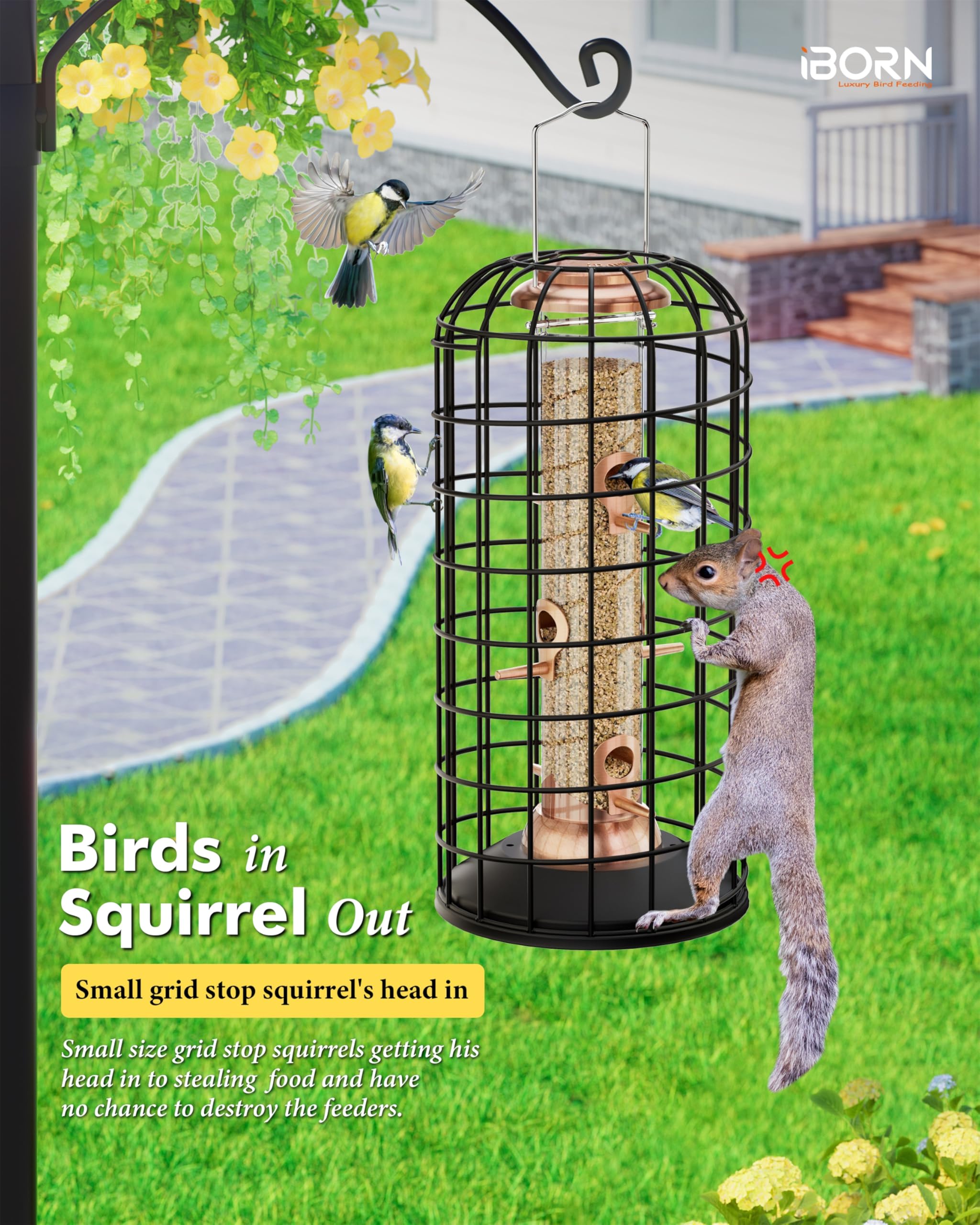iBorn feeder base and clear seed tube detail for easy filling and cleaning