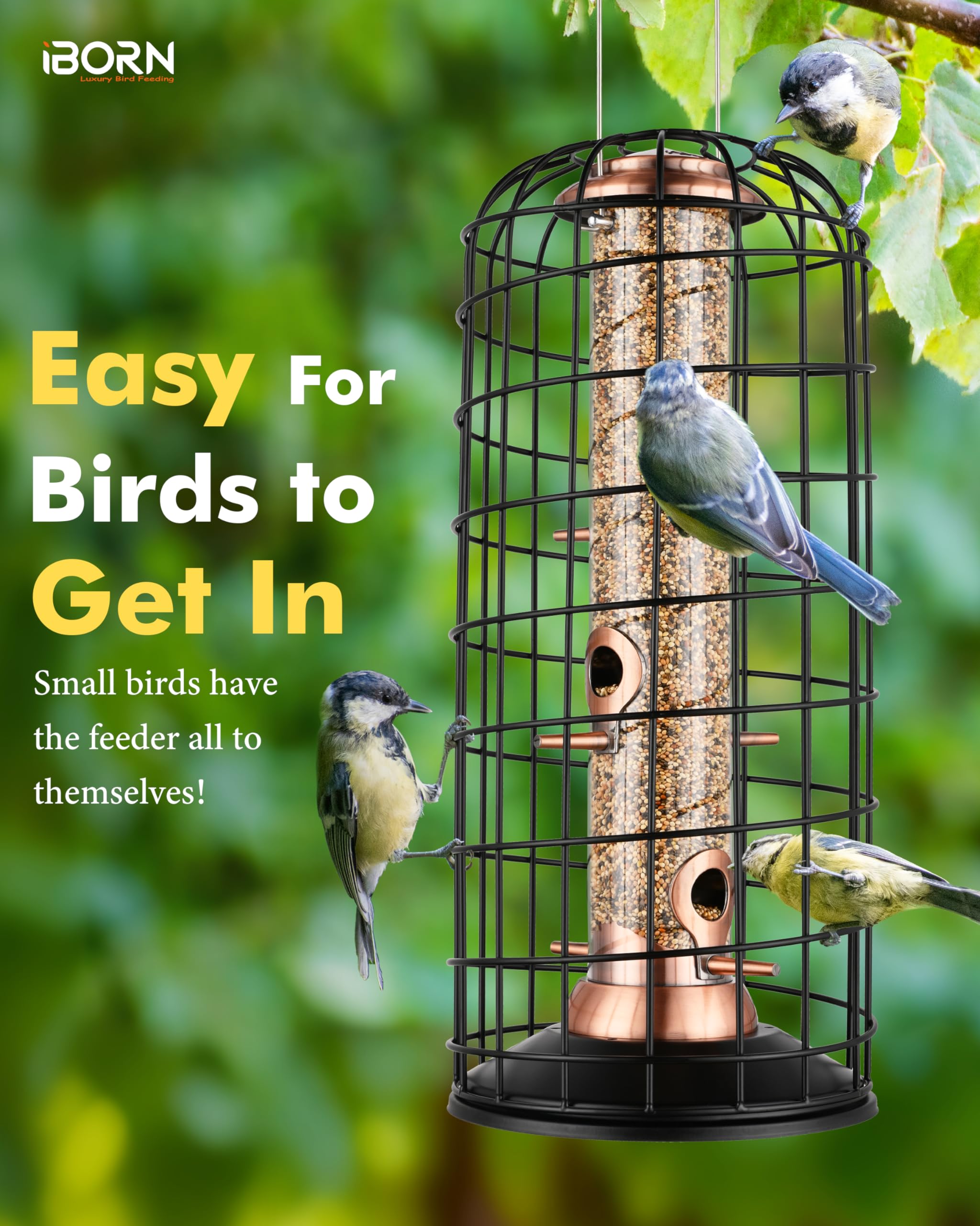 iBorn feeder disassembled into three parts for simple cleaning and maintenance