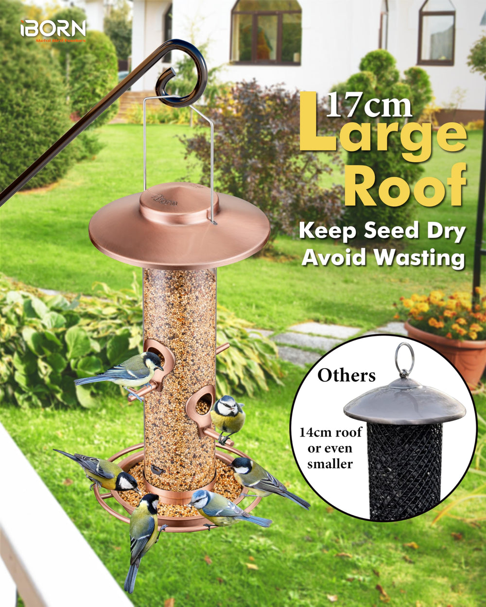 iBorn four feeding ports with 360° ring perch, supports multiple birds