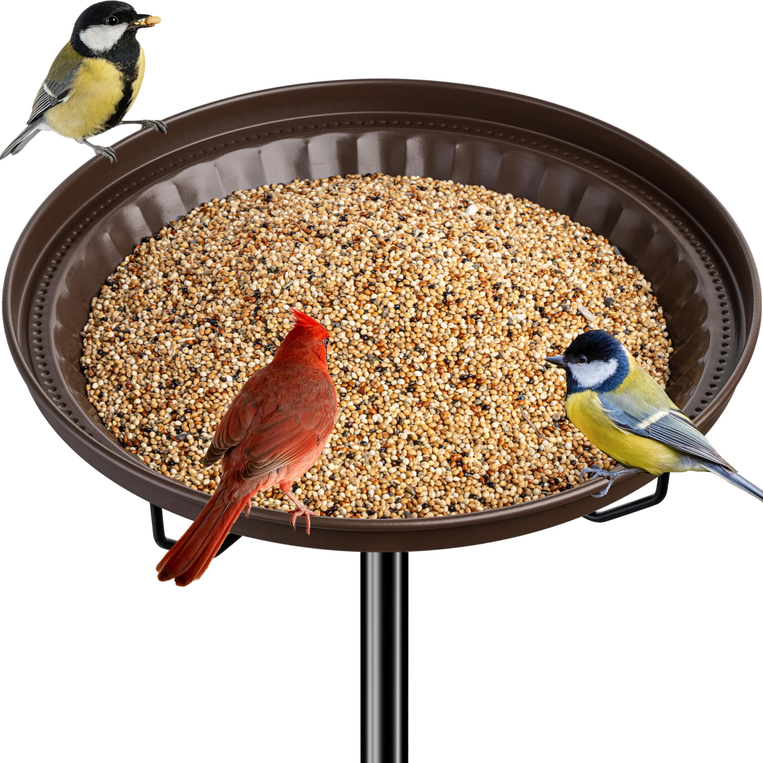 iBorn front view of full feeder showing stable tray and bronze finish benefit durability