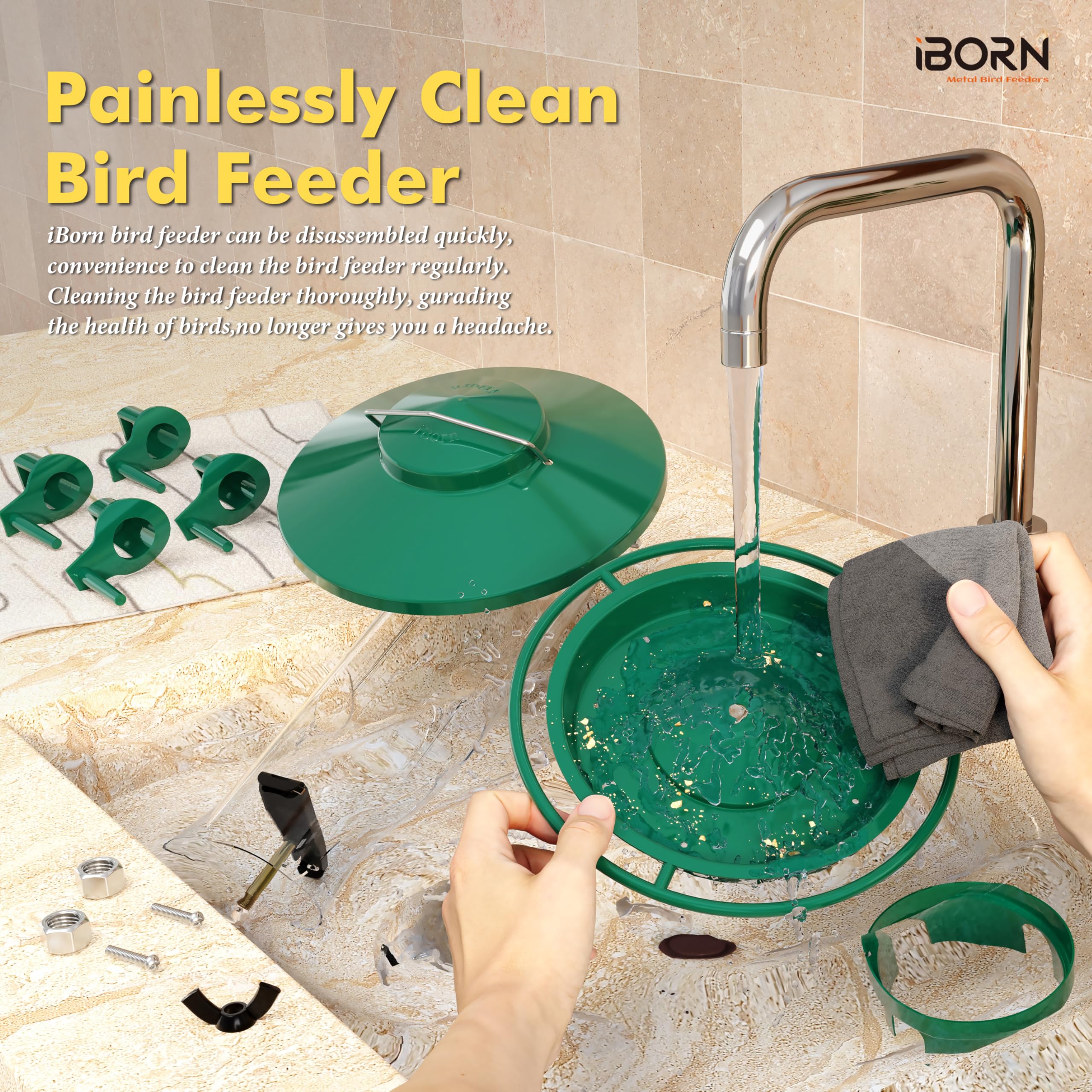 iBorn garden lifestyle shot attracting multiple songbirds to the feeder