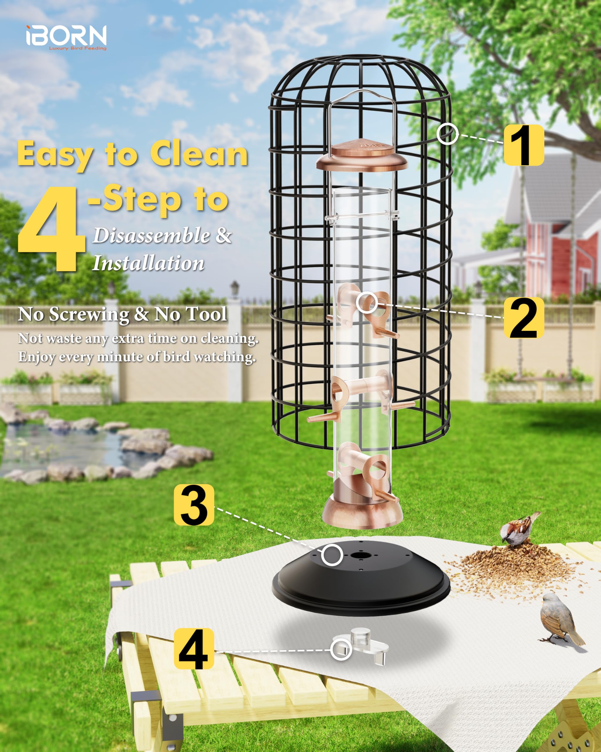 iBorn feeder with small birds feeding, demonstrating comfortable perching and access