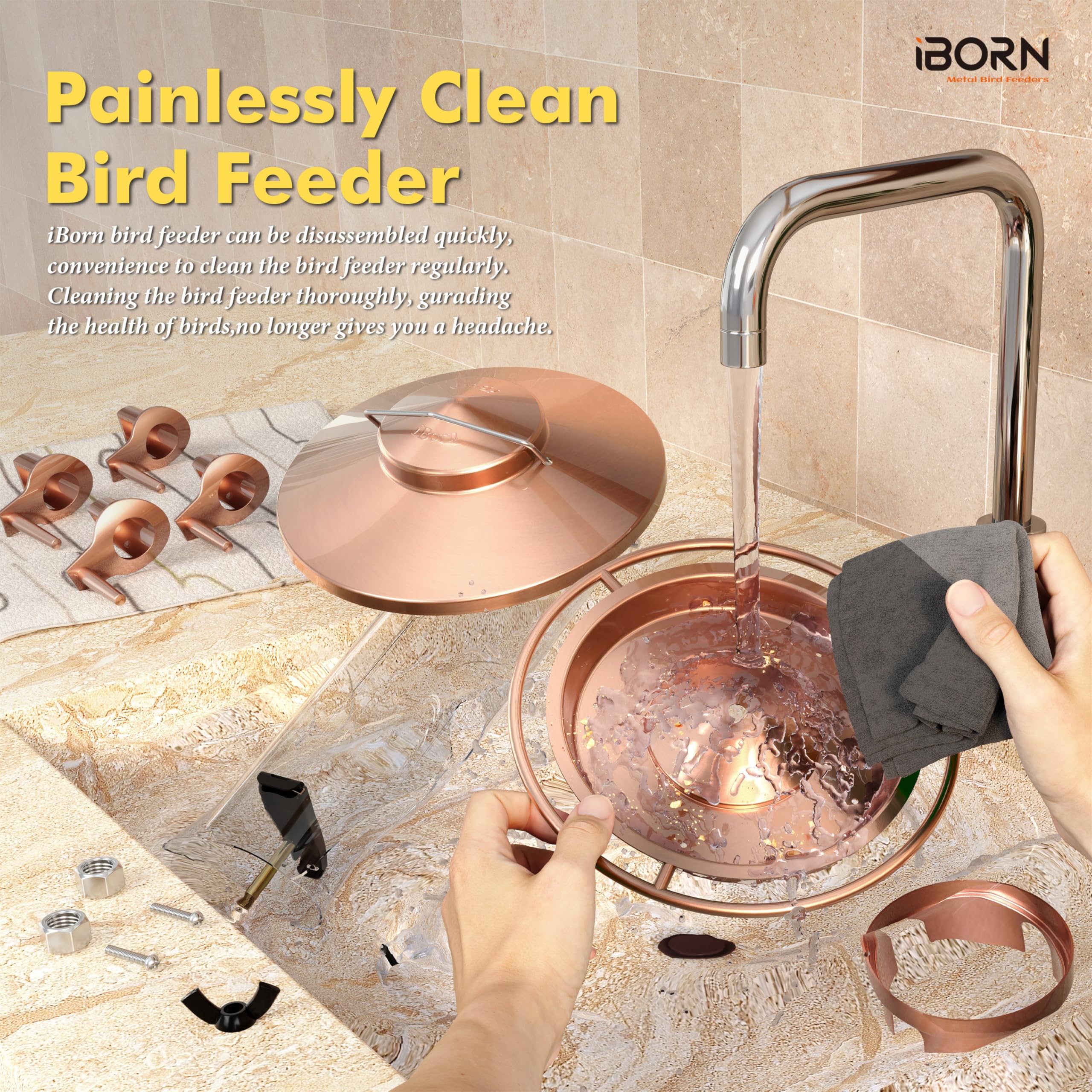 iBorn feeder held for scale, shows 1.5LB capacity and compact size