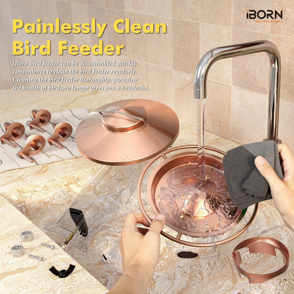 iBorn feeder held for scale, shows 1.5LB capacity and compact size