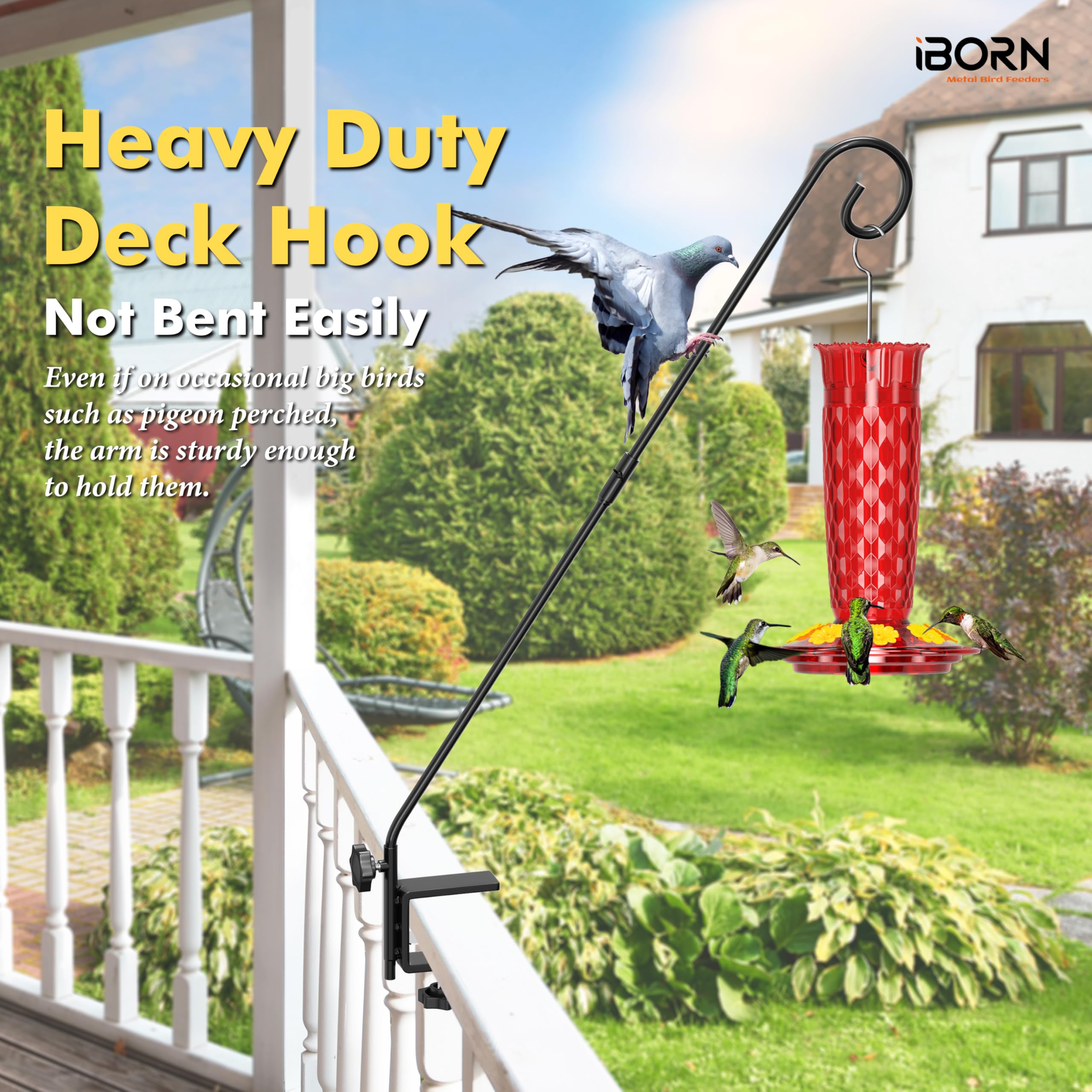iBorn height and reach scale showing 25.2 inch height and 13.8 inch outward extension