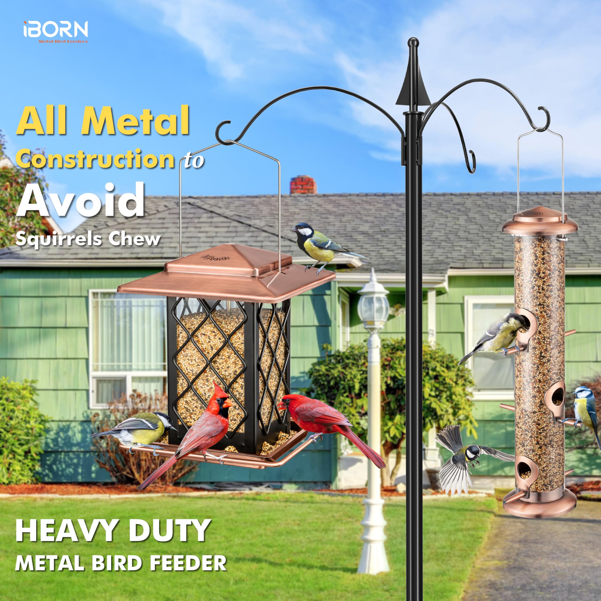 iBorn detail of square metal perch offering stable seating for multiple birds