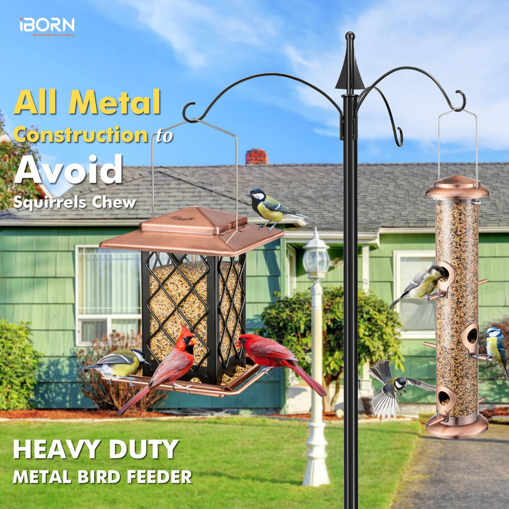 iBorn detail of square metal perch offering stable seating for multiple birds