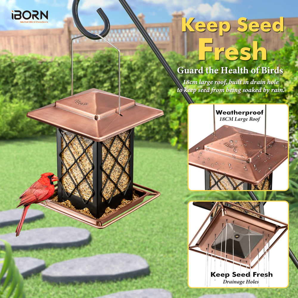 iBorn textured metal shell close-up highlighting durable construction against damage