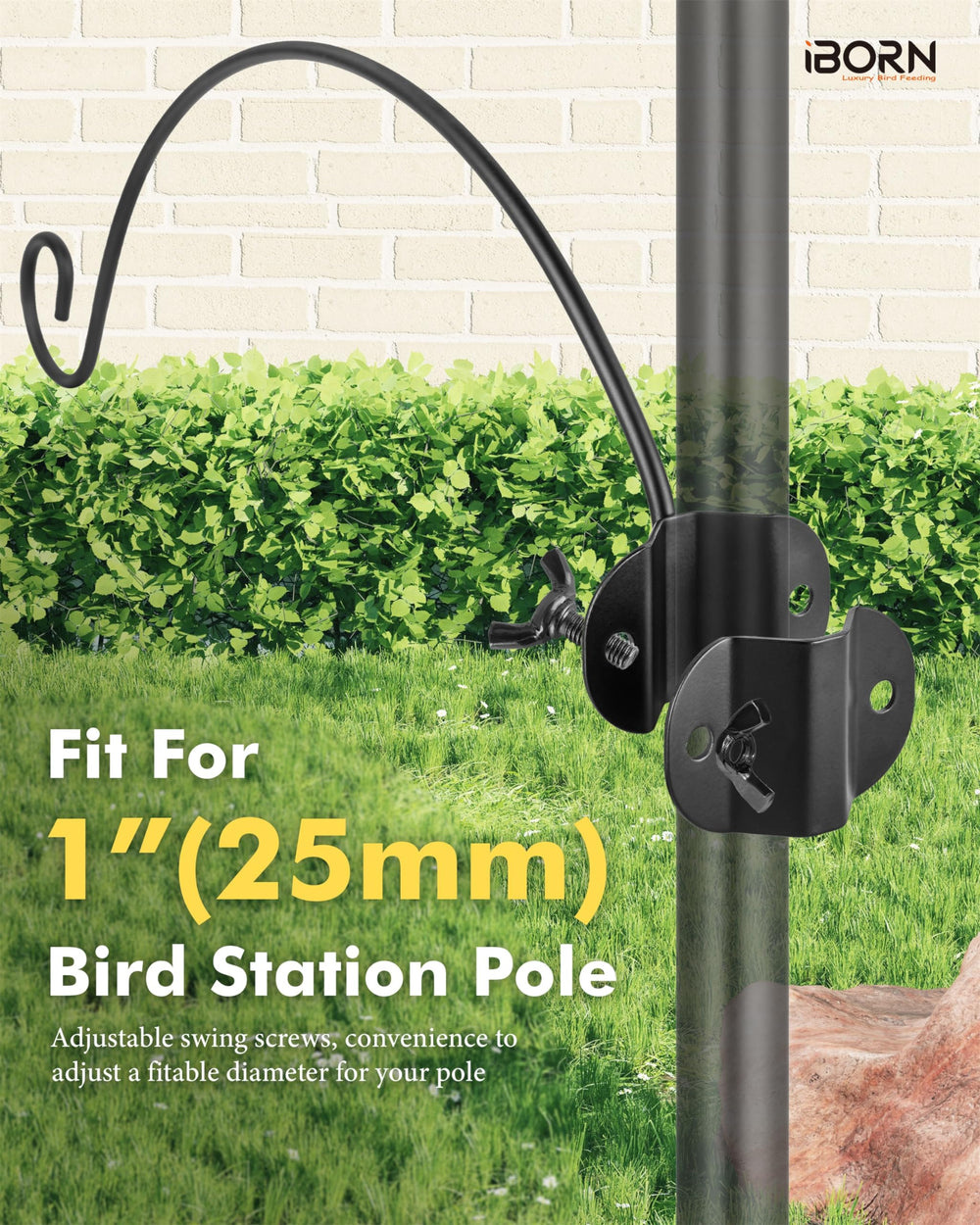 iBorn arrangement with mixed-seed feeders attracting varied birds benefit